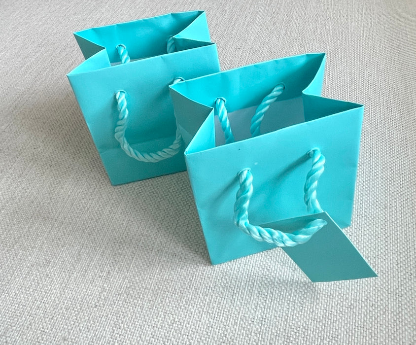 Tiffany style shopping Bags