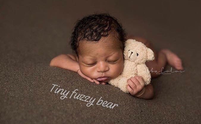 Tiny fuzzy Bear newborn prop - Auspicious Laundry Store